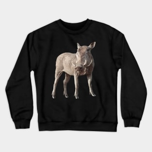 Warthog on Safari in Kenya / Africa Crewneck Sweatshirt